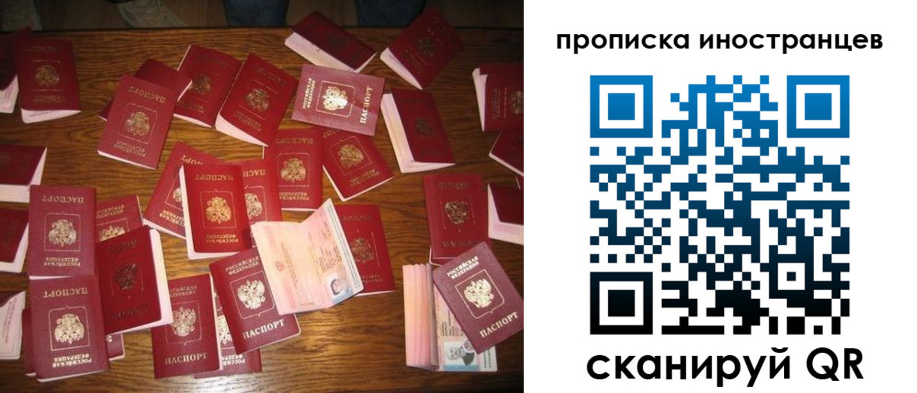 найти адрес прописки в Пионерском